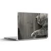MuchoWow® Laptop Aufkleber Sticker Cover Katze auf dem Sofa Produktbild-Vorschau 1
