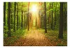 Basera Fototapete Waldmotiv c-B-0076-a-b, Vliestapete, Produktbild-Vorschau 2