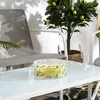 Citronella Duftkerze gegen Mücken – Ø 19 cm – Outdoor-Kerze Produktbild-Vorschau 2