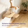 Knupis Katzen Kletterwand Set mit Hängematte & 2X Produktbild-Vorschau 3