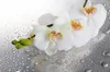 Künstliche Orchidee Weiß-Bordeaux – 3-triebig, Produktbild-Vorschau 4
