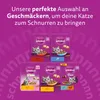 WHISKAS Junior Trockenfutter für Katzen 5 x 800g mit Huhn Produktbild-Vorschau 8