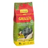 proFagus Grillis Premium bukové grilovací brikety na Náhled obrázku produktu 1