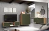 A modern living room set up with a TV stand, a cabinet, and a dresser, all featuring green patterned fronts and wooden accents. Podgląd zdjęcia produktu