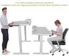 A man and a woman are shown using adjustable electric desks in a studio setting. Anteprima dell’immagine prodotto