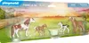PLAYMOBIL Country 2 Island Ponys mit Fohlen 71000 Voir les images du produit 4