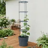 Kvetináč na pestovanie paradajok TOMATO GROWER antracit Náhľad obrázku produktu 19