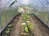 Polykarbonátový skleník Frux Strong 6x3 m / 18m2 - 6mm Náhled obrázku produktu 4
