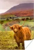 MuchoWow® Poster Schottisches Hochlandrind - Berg - Herbst Produktbild-Vorschau 1