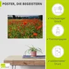 ARTland Poster Mohnblumenwiese II Größe: 120x80 cm Produktbild-Vorschau 2