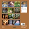 Korsch Kalender 2027 Magische Wälder mit großem Bild und Produktbild-Vorschau 6