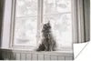 MuchoWow® Poster Maine Coon Cat sitzt auf der Fensterbank Produktbild-Vorschau 1