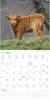 Alpha Edition - Tierbabys Kalender 2026 - Wandkalender Produktbild-Vorschau 12