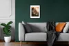 MuchoWow® MuchoWow® Gerahmtes Poster Löwe - Dschungel - Produktbild-Vorschau 8