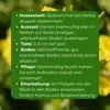 Samenshop24® Futterraps / Winterraps, Bodenkur & Produktbild-Vorschau 4