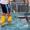 Aopunly Betonrüttler 1000W Innenrüttler Rüttelflasche Produktbild-Vorschau 7