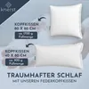 A marketing image showcasing two white feather pillows of different sizes, with descriptive text and brand logo. Produktbild-Vorschau