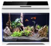 A well-lit, professional studio shot of a modern aquarium set, complete with fish, plants, and decorative rocks. Anteprima dell’immagine prodotto