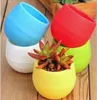 Lot de 7 pots de fleurs avec drainage 0,55 L pour cactus, Voir les images du produit 4