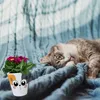 Katzen Blumentopf mit Glückskatze Produktbild-Vorschau 6