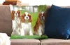 MuchoWow® Zierkissen Sofakissen Wohnzimmer Dekokissen 60x60 Produktbild-Vorschau 2