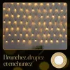 Meisterhome Filet lumineux LED 3x3 mètres pour l'extérieur Voir les images du produit 4