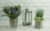 Two potted plants and a lantern are displayed against a white brick wall. Produktbild-Vorschau