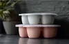 Beaba Aufbewahrungsbehaelter Multiportions aus Silikon 6 x Produktbild-Vorschau 3
