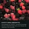 AEG 7000 GreenZone / Freistehende Kühl-Gefrierkombination / Produktbild-Vorschau 9