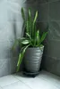 Support Strend Pro, pour pot de fleurs, sur roulettes, Voir les images du produit 3