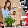 A woman watering a fern in a woven basket. Produktbild-Vorschau