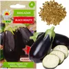 Aubergine Samen Schwarze Schönheit Lila Birne Der Liebe 1G Produktbild-Vorschau 8