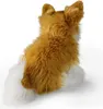 RAPPA Peluche chien chihuahua assis 28 cm ECO-FRIENDLY Voir les images du produit 4