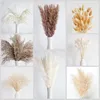 Bouquet di erba pampa essiccata 128 PCS per matrimoni e Anteprima dell’immagine prodotto 5
