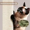A Siamese cat is scratching a scratching post. Podgląd zdjęcia produktu