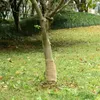 vidaXL Tissu de jute 0,25x5 m 100% jute 200 g/m Voir les images du produit 2