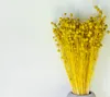 Flachs Getrocknete - (Leinen) - Gelb Produktbild-Vorschau 5