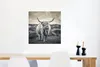 MuchoWow® Poster Schottischer Hochländer - Tiere - Wolken - Produktbild-Vorschau 5
