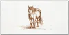 Coloray Bild aus Leinwand 120x60 Leinwand Dekoration - Tier Produktbild-Vorschau 1