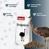 PANTO Straußenkorn 5mm 25kg - Für Straußen, Emus und Nandus Produktbild-Vorschau 2