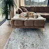 Kurzflor Teppich Mazovia - Abstrakt Beige, Braun Teppich Produktbild-Vorschau 8