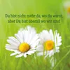 Grabkerze Weiß 8er Pack, Brenndauer: 40 Stunden ( je Kerze Produktbild-Vorschau 2
