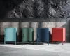 Four colorful metal storage cabinets are lined up against a concrete wall with a textured rock background above. Anteprima dell’immagine prodotto