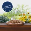 10 kg Lyra Pet® Soldatenfliegenlarven Produktbild-Vorschau 3