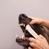 VetExpert Caryodent Finger Wipes czyściki do zębów dla psa Podgląd zdjęcia produktu 2