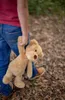 Ours en peluche Beverly Hills Brady 40cm WS03986 Voir les images du produit 6
