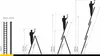 Drabest | Scala - scala 3x12 gradini, scala pieghevole - Anteprima dell’immagine prodotto 2