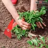 KOTARBAU® Gartenhacke 75x110 mm mit Imprägnierter Holzstiel Produktbild-Vorschau 2