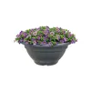 elho torino Schale 40cm - anthrazit Produktbild-Vorschau 5