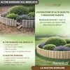 Floranica Bordo Giardino Flessibile  40 x 200 cm Grezzo Anteprima dell’immagine prodotto 4